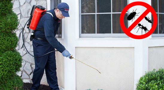 Karaisalı Karınca İlaçlama böcek ilaçlama ve haşere kontrolü — ilaclama-tr.com